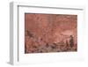 Salmon-Colored Sandstone Wall with Evergreens-James Hager-Framed Photographic Print