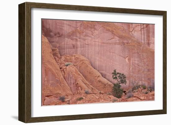 Salmon-Coloured Sandstone Wall with Evergreens-James Hager-Framed Photographic Print