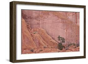 Salmon-Coloured Sandstone Wall with Evergreens-James Hager-Framed Photographic Print