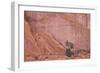 Salmon-Coloured Sandstone Wall with Evergreens-James Hager-Framed Photographic Print