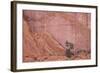 Salmon-Coloured Sandstone Wall with Evergreens-James Hager-Framed Photographic Print