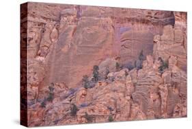 Salmon-Coloured Sandstone Wall with Evergreens-James Hager-Stretched Canvas