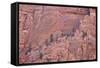 Salmon-Coloured Sandstone Wall with Evergreens-James Hager-Framed Stretched Canvas