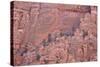 Salmon-Coloured Sandstone Wall with Evergreens-James Hager-Stretched Canvas