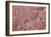 Salmon-Coloured Sandstone Wall with Evergreens-James Hager-Framed Photographic Print