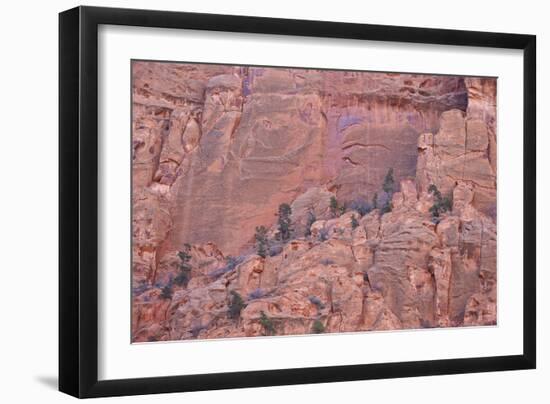 Salmon-Coloured Sandstone Wall with Evergreens-James Hager-Framed Photographic Print