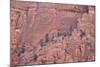 Salmon-Coloured Sandstone Wall with Evergreens-James Hager-Mounted Photographic Print