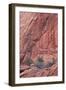 Salmon-Coloured Sandstone Wall with Evergreens-James Hager-Framed Photographic Print