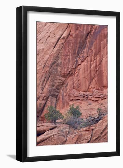 Salmon-Coloured Sandstone Wall with Evergreens-James Hager-Framed Photographic Print