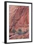 Salmon-Coloured Sandstone Wall with Evergreens-James Hager-Framed Photographic Print