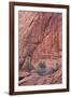 Salmon-Coloured Sandstone Wall with Evergreens-James Hager-Framed Photographic Print