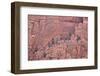 Salmon-Coloured Sandstone Wall with Evergreens-James Hager-Framed Photographic Print