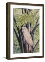 Salmon-crested Cockatoo, 1988-Sandra Lawrence-Framed Giclee Print