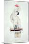 Salmon-Crested Cockatoo-Edward Lear-Mounted Giclee Print