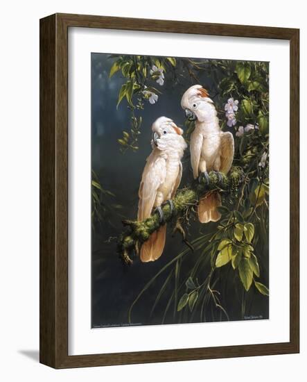 Salmon Crested Cockatoos-Michael Jackson-Framed Giclee Print