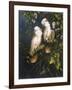 Salmon Crested Cockatoos-Michael Jackson-Framed Giclee Print