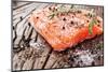 Salmon Filet with Spices on a Wooden Carving Board. Macro Shot.-Volff-Mounted Photographic Print