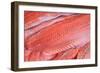 Salmon Fillets for Sale in Fish Market-Jon Hicks-Framed Photographic Print