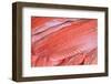 Salmon Fillets for Sale in Fish Market-Jon Hicks-Framed Photographic Print