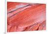 Salmon Fillets for Sale in Fish Market-Jon Hicks-Framed Photographic Print