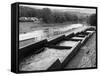Salmon Fish Ladder-null-Framed Stretched Canvas