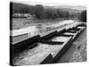 Salmon Fish Ladder-null-Stretched Canvas