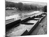 Salmon Fish Ladder-null-Mounted Photographic Print