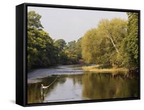 Salmon Fisherman Casting to a Fish on the River Dee, Wrexham, Wales-John Warburton-lee-Framed Stretched Canvas
