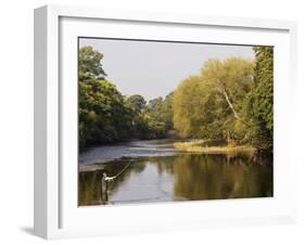 Salmon Fisherman Casting to a Fish on the River Dee, Wrexham, Wales-John Warburton-lee-Framed Photographic Print