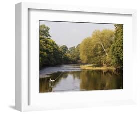 Salmon Fisherman Casting to a Fish on the River Dee, Wrexham, Wales-John Warburton-lee-Framed Photographic Print