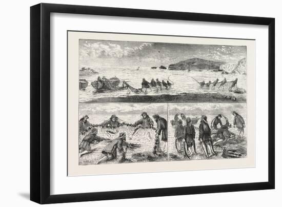 Salmon Fishing: Fishing Salmon-null-Framed Giclee Print