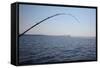 Salmon Fishing in Puget Sound, Seattle, Washington State, USA-Savanah Stewart-Framed Stretched Canvas