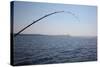 Salmon Fishing in Puget Sound, Seattle, Washington State, USA-Savanah Stewart-Stretched Canvas