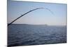 Salmon Fishing in Puget Sound, Seattle, Washington State, USA-Savanah Stewart-Mounted Photographic Print