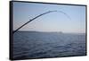 Salmon Fishing in Puget Sound, Seattle, Washington State, USA-Savanah Stewart-Framed Stretched Canvas