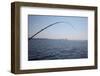 Salmon Fishing in Puget Sound, Seattle, Washington State, USA-Savanah Stewart-Framed Photographic Print