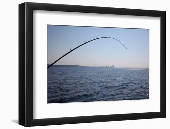 Salmon Fishing in Puget Sound, Seattle, Washington State, USA-Savanah Stewart-Framed Photographic Print