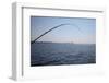 Salmon Fishing in Puget Sound, Seattle, Washington State, USA-Savanah Stewart-Framed Photographic Print