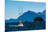 Salmon fishing trolling boat, Inside Passage, Southeast Alaska, USA-Mark A Johnson-Mounted Photographic Print