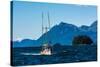 Salmon fishing trolling boat, Inside Passage, Southeast Alaska, USA-Mark A Johnson-Stretched Canvas
