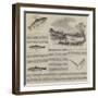 Salmon Fishing-null-Framed Giclee Print