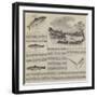 Salmon Fishing-null-Framed Giclee Print