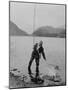 Wood Mount