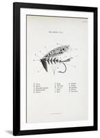 Salmon Fly. Fishing Tackle-Fraser Sandeman-Framed Giclee Print