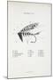 Salmon Fly. Fishing Tackle-Fraser Sandeman-Mounted Giclee Print