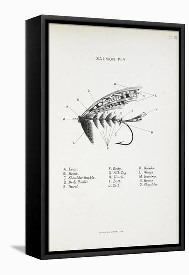 Salmon Fly. Fishing Tackle-Fraser Sandeman-Framed Stretched Canvas