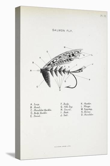 Salmon Fly. Fishing Tackle-Fraser Sandeman-Stretched Canvas