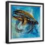 Salmon Fly King-Jodi Monahan-Framed Art Print