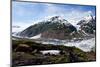 Salmon Glacier-devon-Mounted Photographic Print