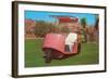 Salmon Golf Cart, Retro-null-Framed Art Print